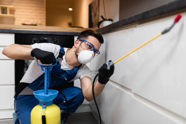 Best Pest Control Near Me in Cleveland, GA