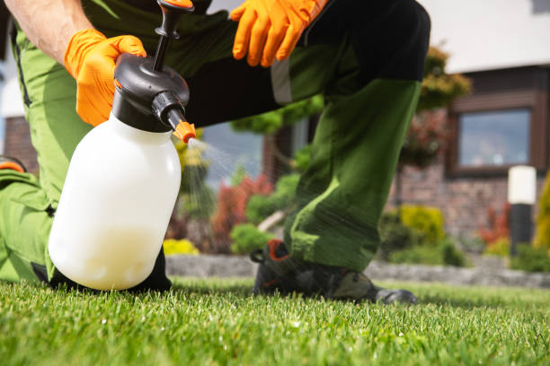 Flea Control Services in Cleveland, GA