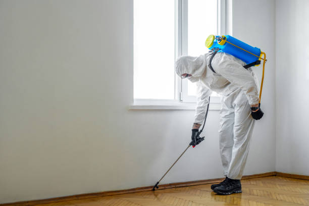 Best Local Pest Control Services  in Cleveland, GA