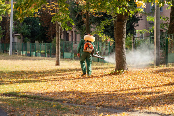 Best Pest Prevention Services  in Cleveland, GA