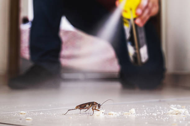 Best Exterminator Services  in Cleveland, GA