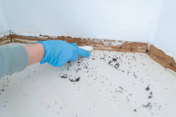 Best Residential Pest Control  in Cleveland, GA